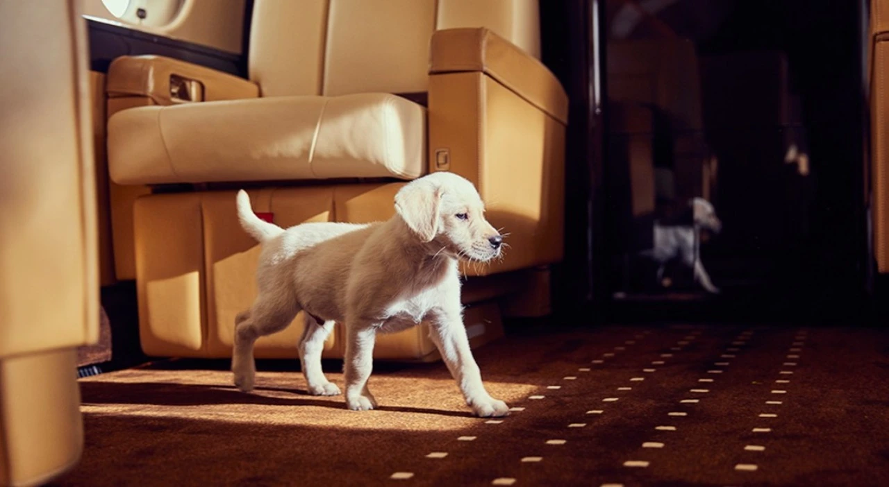 techno private charter